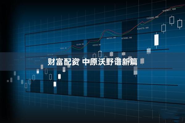 财富配资 中原沃野谱新篇