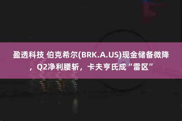 盈透科技 伯克希尔(BRK.A.US)现金储备微降,Q2净利腰斩,卡夫亨氏成“雷区”