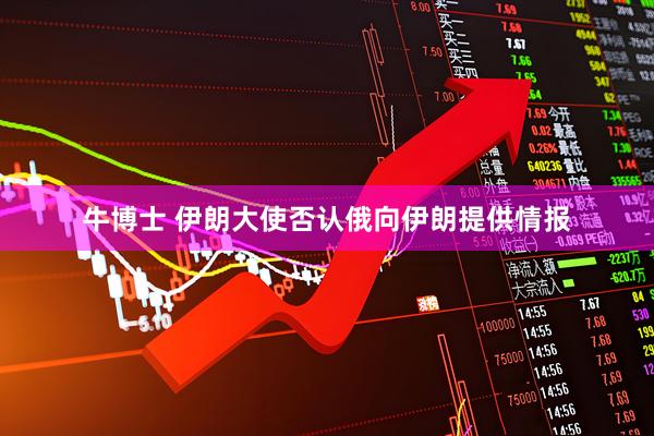 牛博士 伊朗大使否认俄向伊朗提供情报